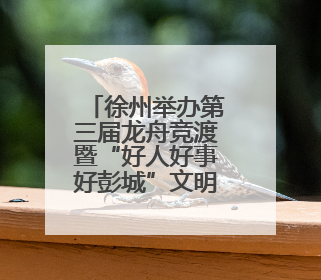 徐州举办第三届龙舟竞渡暨“好人好事好彭城”文明大集